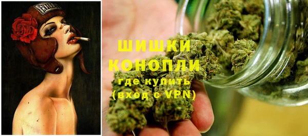 ПСИЛОЦИБИНОВЫЕ ГРИБЫ Покровск